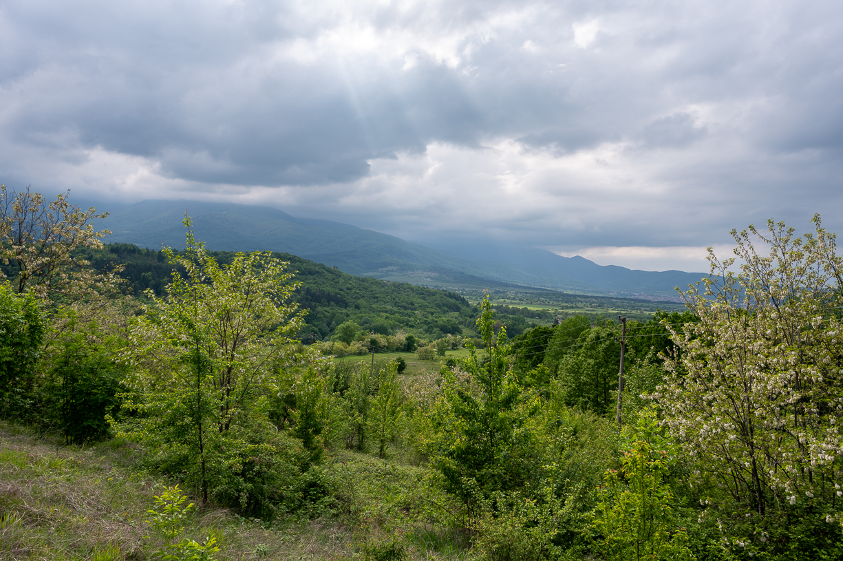 Rolling Hills